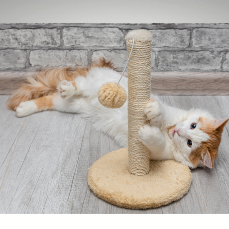 Scratching Post