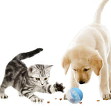 Interactive Treat-Dispensing Ball for Cats