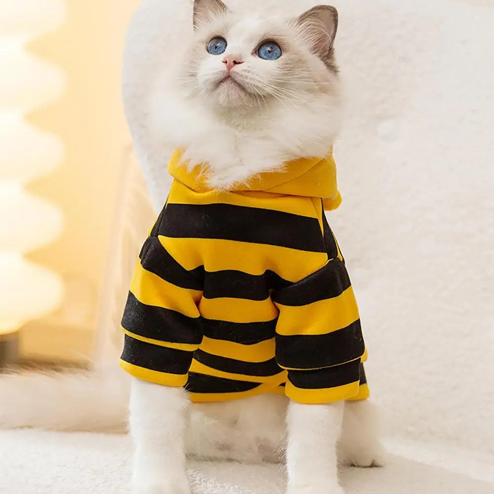 Bumblebee Cat Costume