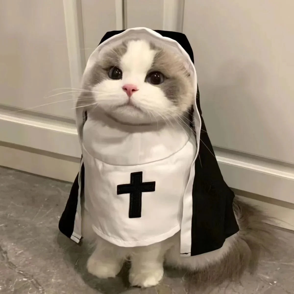 Nun Cat Costume