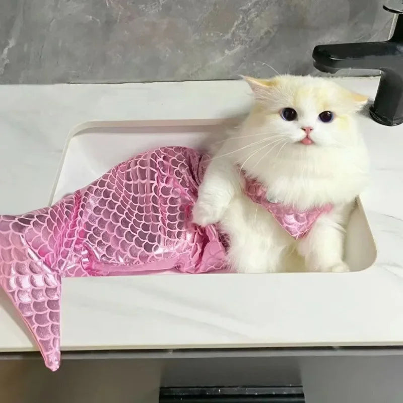 Mermaid Cat Costume