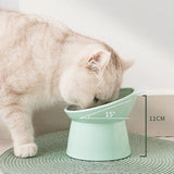 Raised Cat Bowl – Ergonomic Design