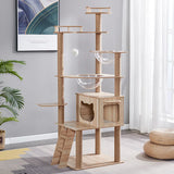 Modern Cat Tree with Clear Bowls and Playhouse