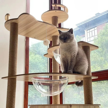 Modern Cat Tree with Clear Bowls and Playhouse