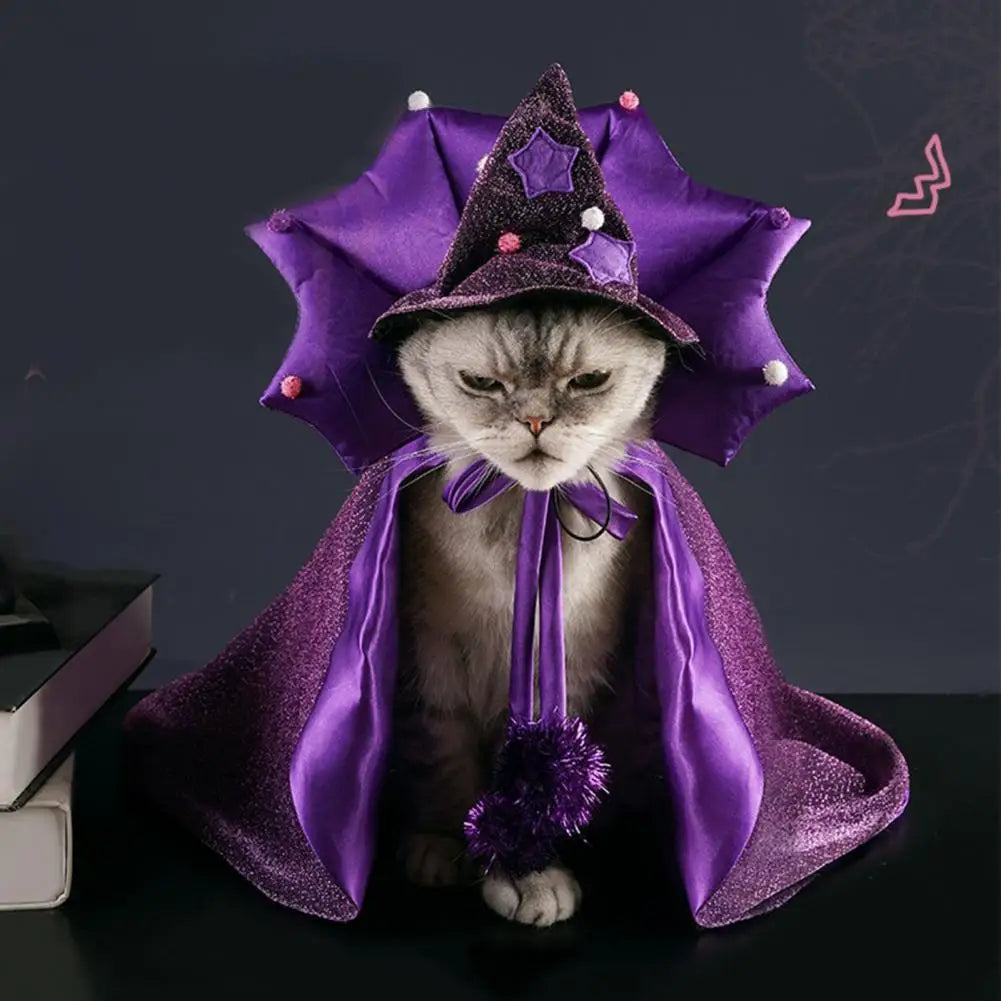 Wizard Cat Costume