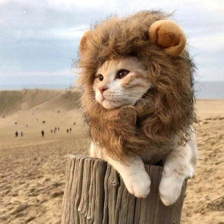 Lion Mane Cat Costume