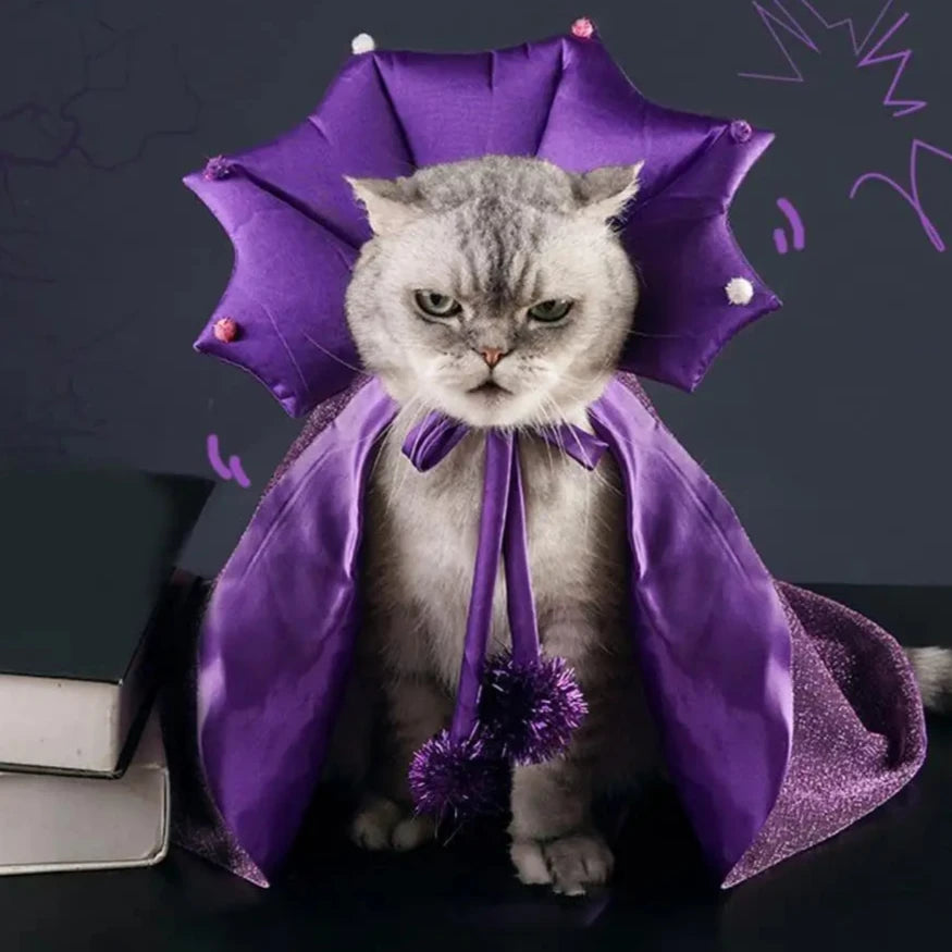 Wizard Cat Costume